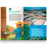 livro só tem na amazônia editora mol