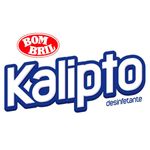desinfetante kalipto eucalipto 500ml