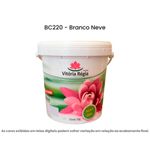 tinta acrílica econômica semibrilho 15l vitória régia branco (mp)
