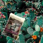substrato terral composto suculentas 5 litros (mp)