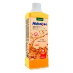 hidralyte 45 laranja 500ml