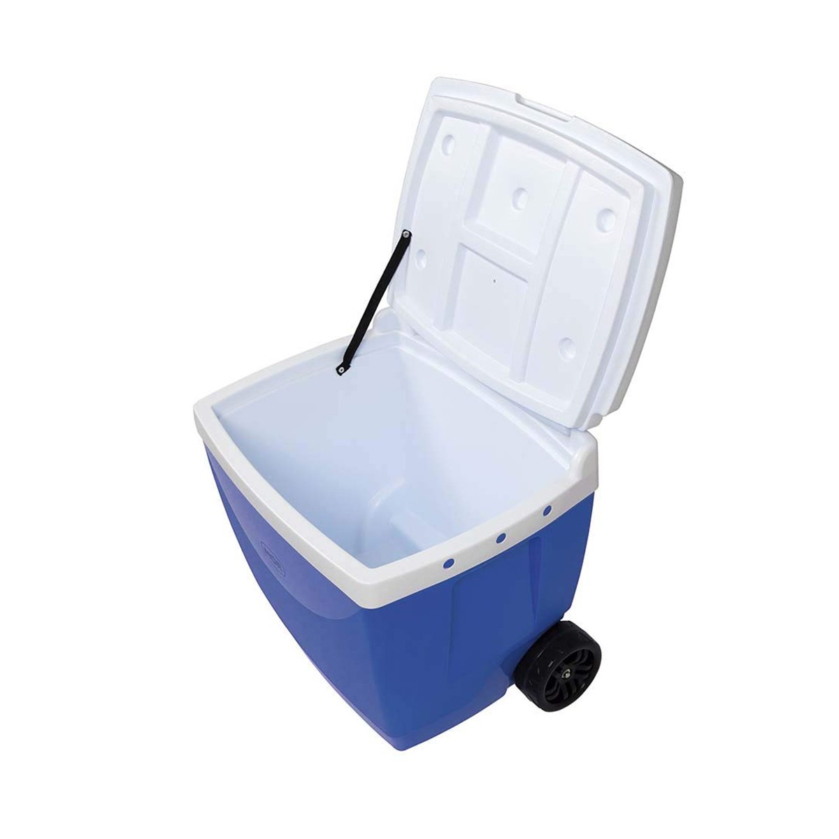 204930_b.jpg?v=639039195695170000