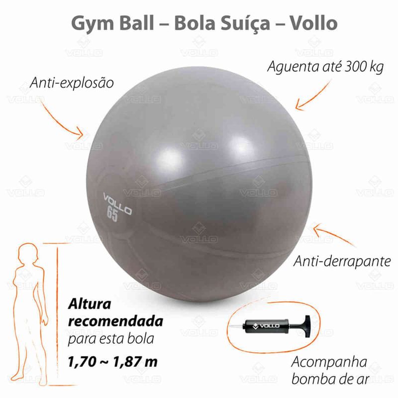 bola de ginástica vollo gym ball 65cm cinza vp1035