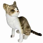 pelúcia fizzy gato realista 35cm (mp)