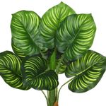 planta artificial grillo dieffenbachia folhas real toque x10 45cm (mp)