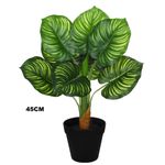 planta artificial grillo dieffenbachia folhas real toque x10 45cm (mp)
