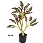 planta artificial grillo aralia folhas x20 toque real 66cm (mp)
