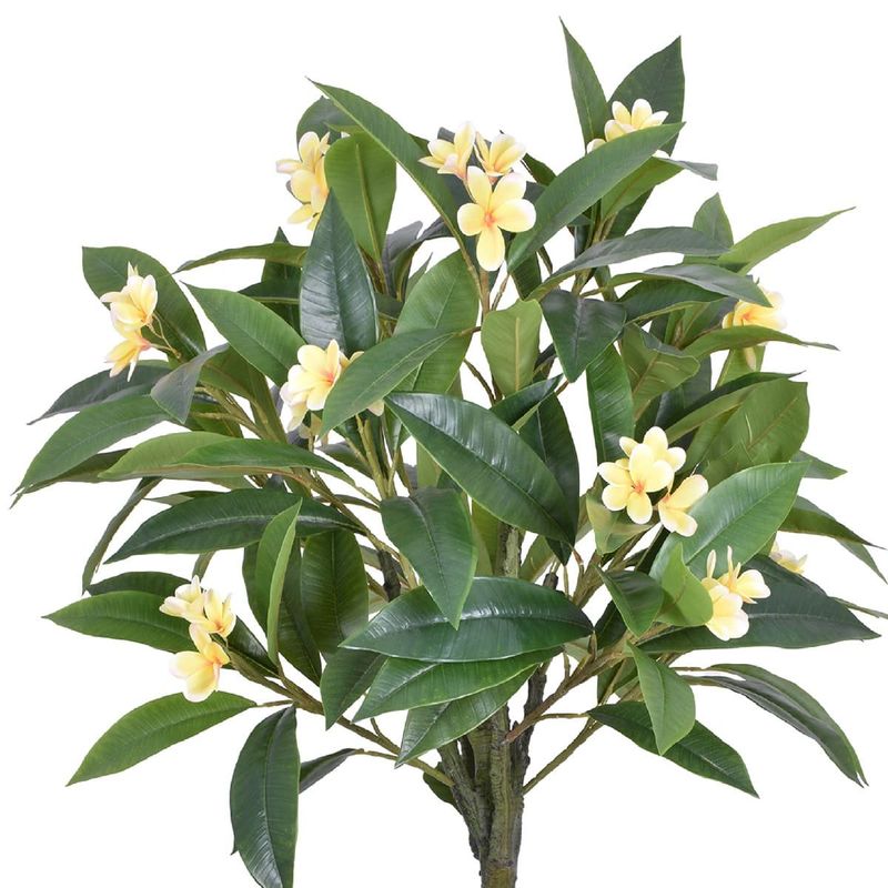 Planta Artificial Frangipania Plumeria Toque Real Creme 145cm