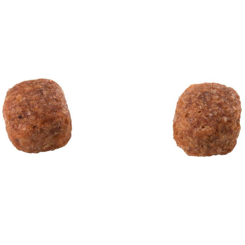 ração balance premium especial cães adulto raças pequenas carne 900g (mp)