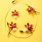 sabonete líquido facial hidrabene hamamélis 120ml