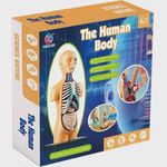 jogo ciência do corpo humano the human body 30170 (mp)