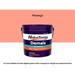 tinta acrílica hidrotintas econômica fosca 3l demais pessêgo (mp)