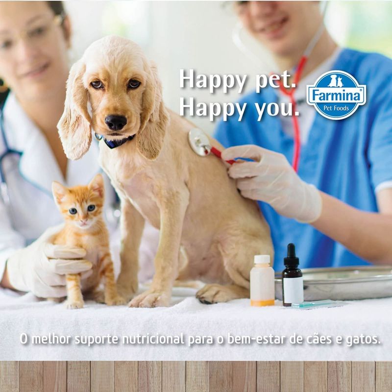 ração vet life cães adultos urinary struvite 10,1kg (mp)