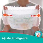 fralda pampers pants ajuste total bag tamanho xg 66 unidades