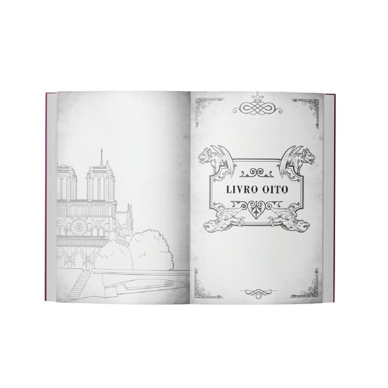 livro o corcunda de notre-dame (mp)