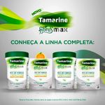 tamarine fibras max sem sabor 225g