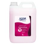 sabonetelíquido alyne skin care pétalas de rosas 5l (mp)