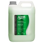 shampoo alyne mentol refrescante 5l (mp)