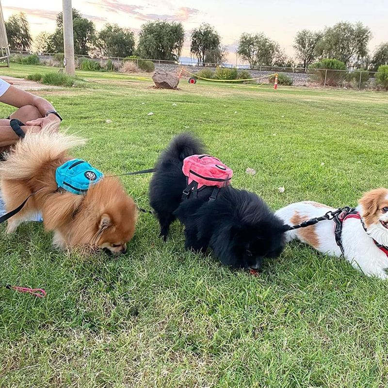 mochila para cães fladorepet pequeno/médio porte rosa a-bi