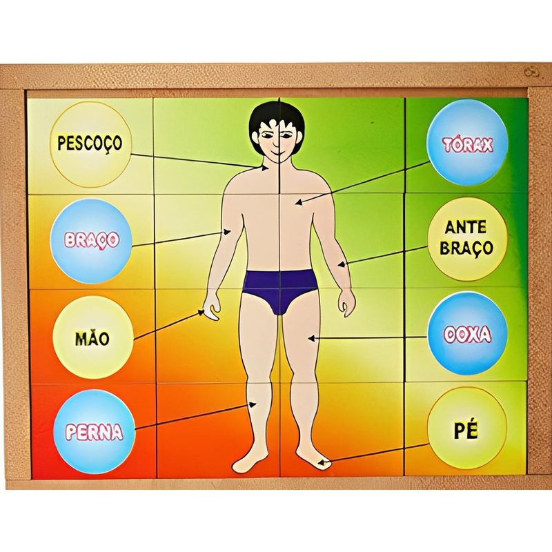 quebra-cabeça carlu corpo humano 16 peças (mp)