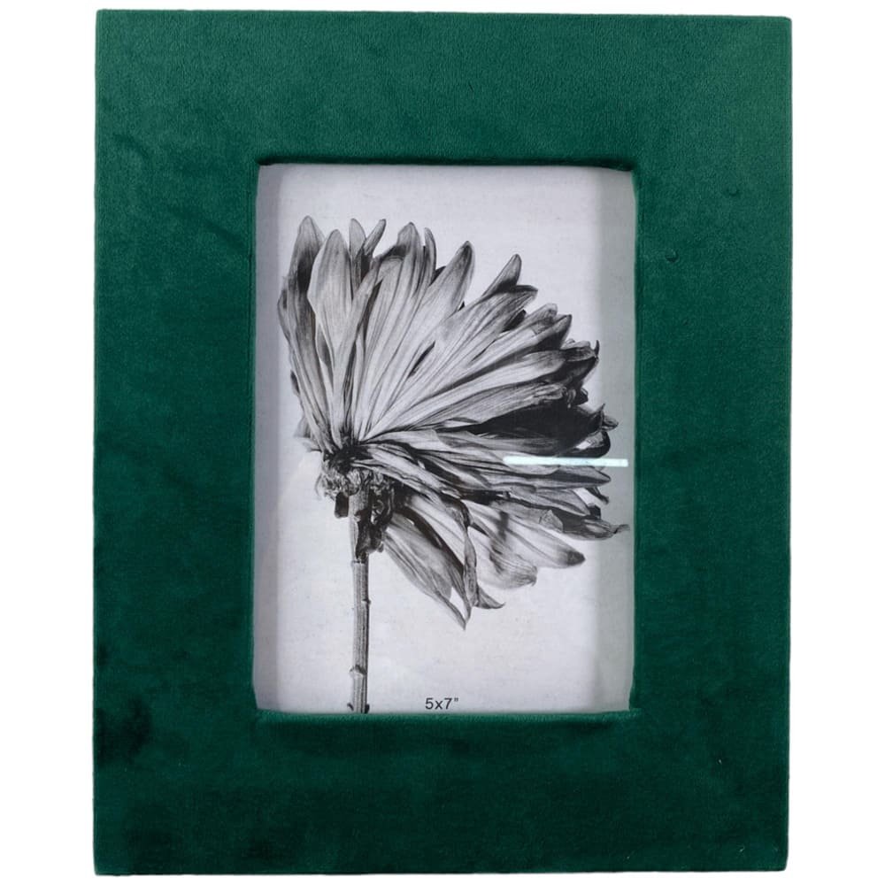Porta-retrato Noritex Verde 455-33910