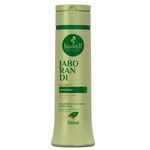 shampoo haskell jaborandi e carqueja 300ml