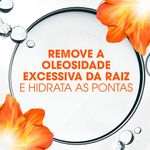 shampoo head & shoulders remoção da oleosidade 400ml