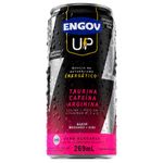 engov up morango e kiwi 269ml hypera