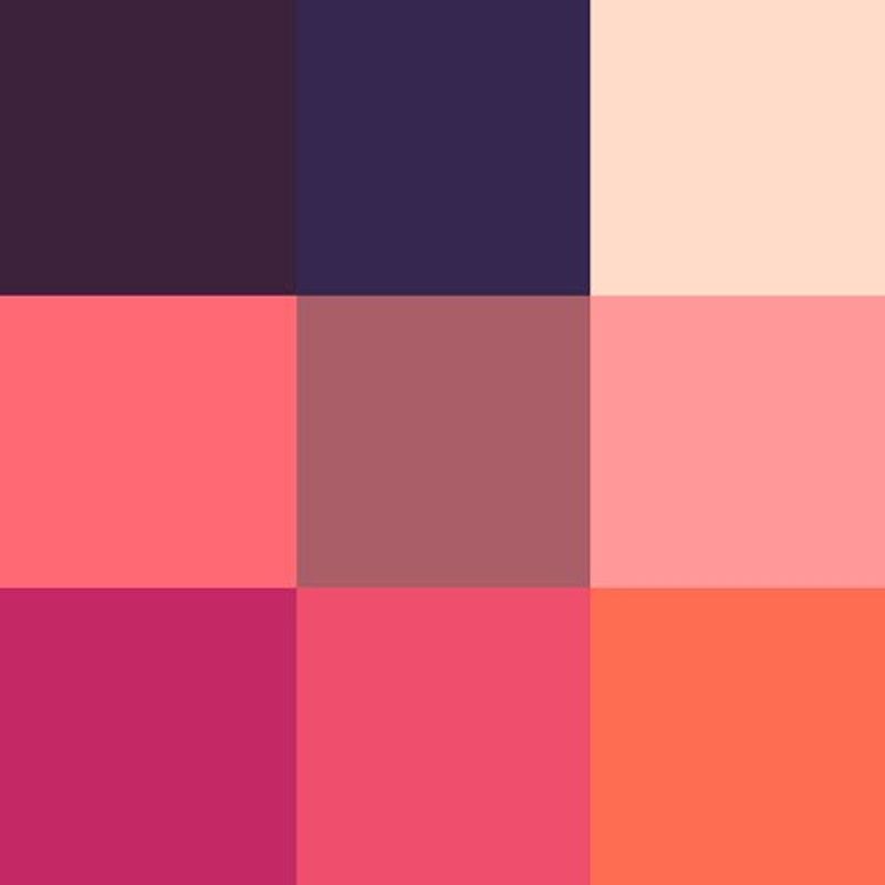 paleta de sombra zanphy linha olhos 03