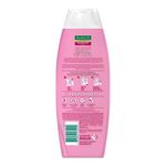 shampoo palmolive naturals ceramidas force 350ml