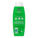 shampoo palmolive naturals detox energizante 350ml