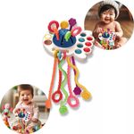 chocalho infantil educativo zoop zp01136 (mp)