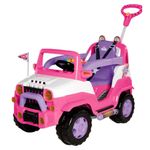 carrinho de passeio calesita diipi rosa 1028 (mp)