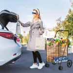 carrinho de compras dobrável goplus jumbo preto a-bi