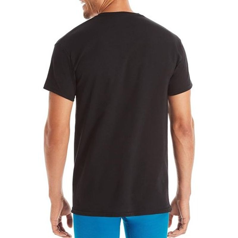 camisetas masculinas xg 06 unidades hanes colores a-bi