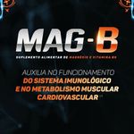 suplemento alimentar mag-b 30 comprimidos revestidos magnésio + vitamina b6 apsen