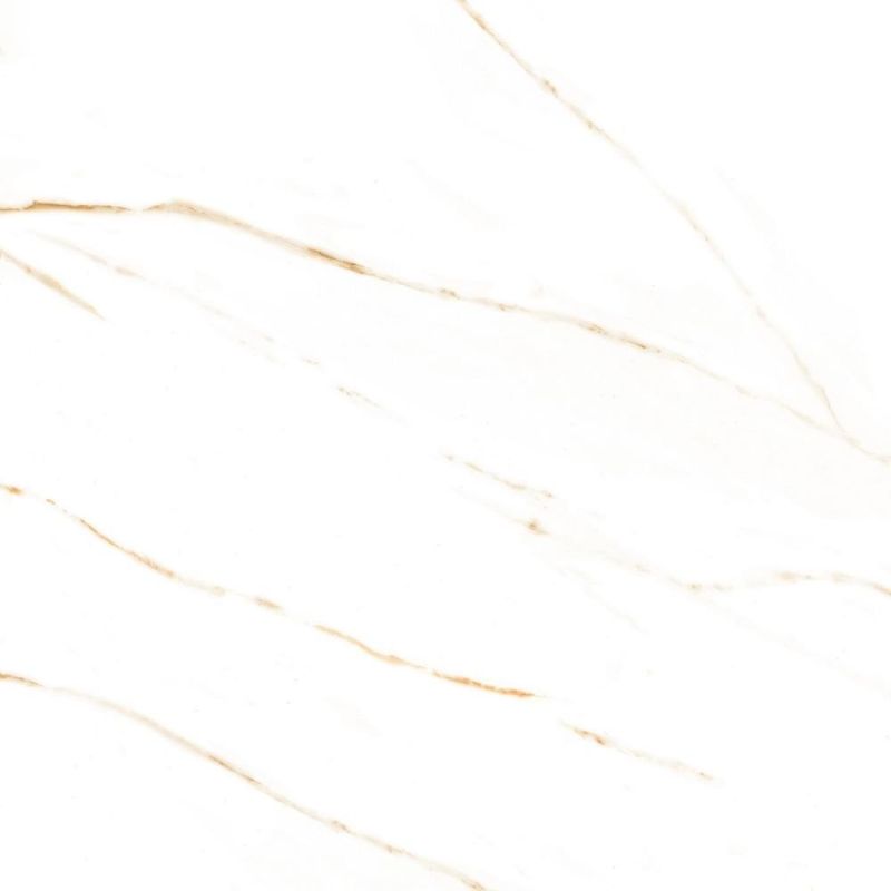 porcelanato polido retificado tecnogres 58x58cm calacatta gold caixa 2,03m² (mp)