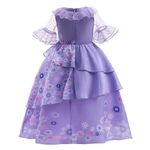 fantasia infantil isabella encanto visnee 4 anos (mp)