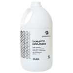 shampoo profissional hidratante maxiline originalli 5l (mp)