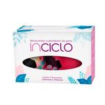 kit absorvente 4 unidades 1 noturno 3 normais cores sortidas