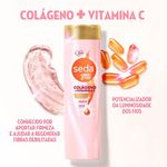 cond 325ml seda colag+vit c by niina