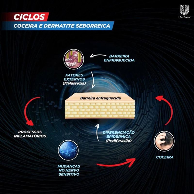 shampoo clear anticaspa women hidratação intensa 400ml