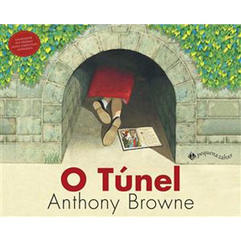 livro o túnel pequena zahar (mp)