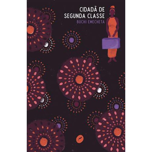 Livro Cidadã de Segunda Classe Dublinense