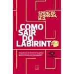 livro como sair do labirinto record (mp)