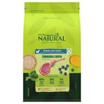 ração para cães adultos guabi natural mini pequeno cordeiro e aveia 2,5kg (mp)