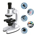brinquedo educativo microscópio dm toys infantil 7137 (mp)