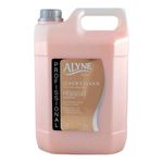 condicionador alyne pêssego nutritivo 5l