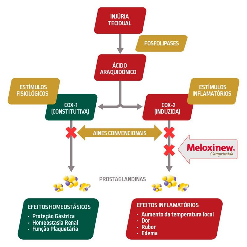 anti-inflamatório meloxinew vetnil uso veterinário 0,5mg 10 comprimidos (mp)
