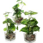 plantas conjunto de 3 peças planta artificial mygift transparente a-mbi